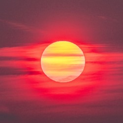 Blinded By the Light 