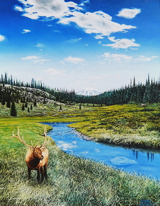 Elks Domain   