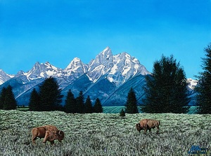 Teton Splendor  1