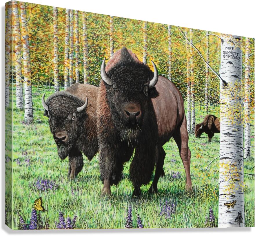 The Challenge Canvas Print