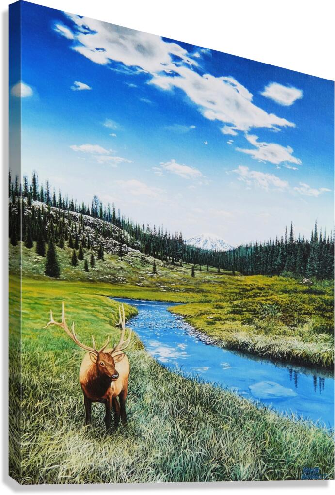 Elks Domain    Canvas Print