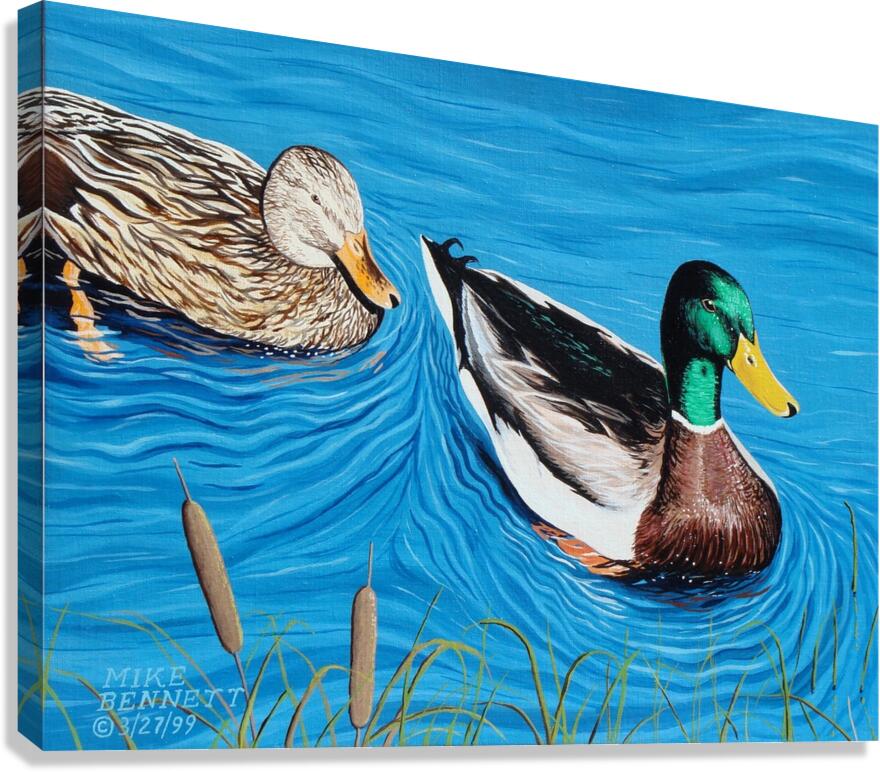 Mallards  2   Canvas Print