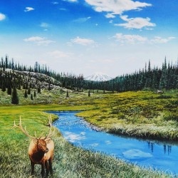 Elks Domain   