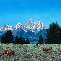 Teton Splendor  1