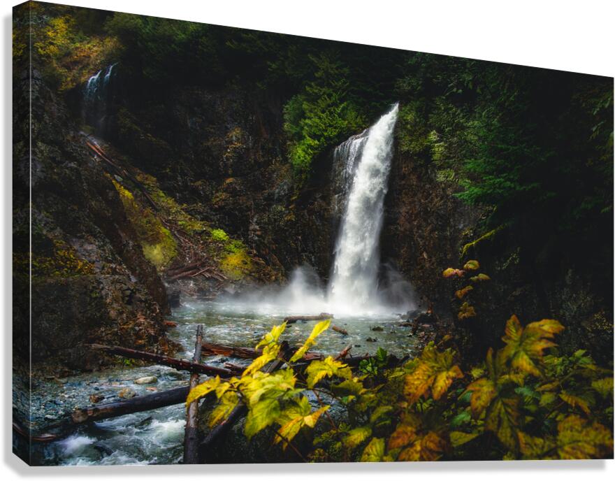 Between Mist & Rage  Canvas Print