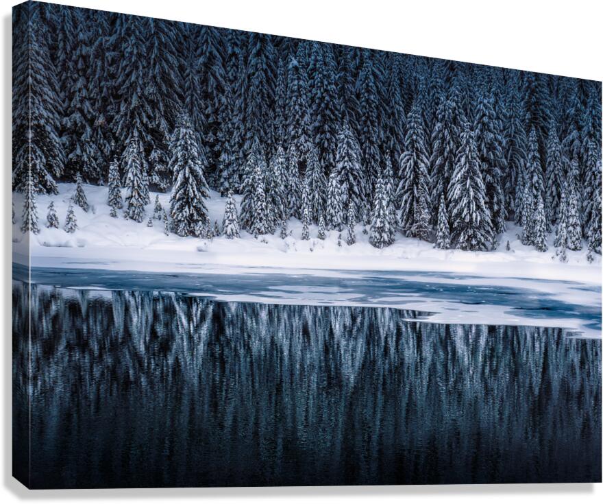 Winter Infinity  Canvas Print