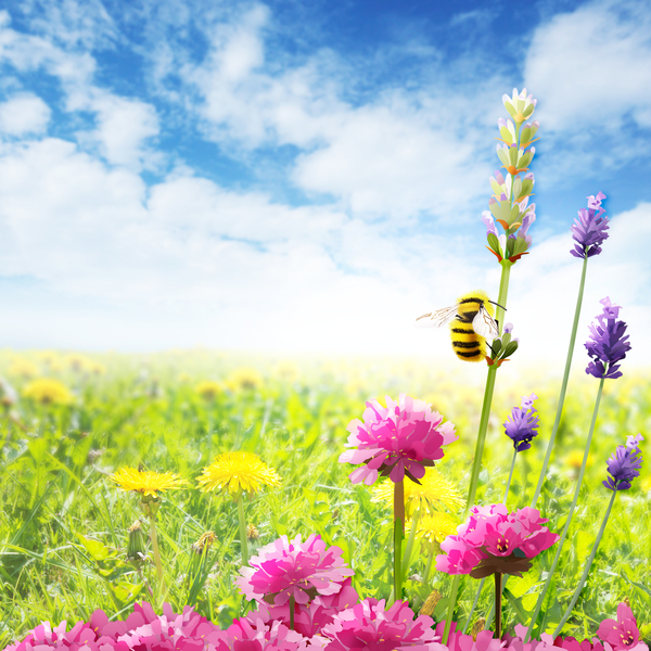 Busy bee Print
