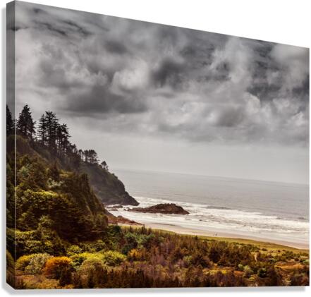 Beards Hollow Canvas Print