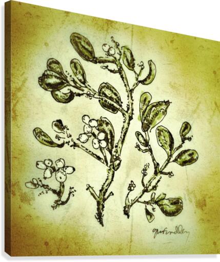Mistletoe Canvas Print