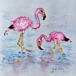 Andean Flamingos