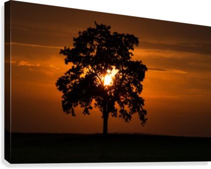 St. Georges Tree Canvas Print