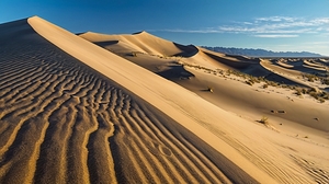 The Silent Dunes: The Stark Elegance of the Desert Landscape