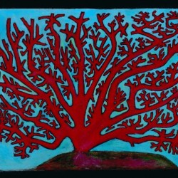 Coral