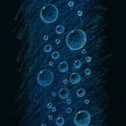 Bubbles or Capri pike dive