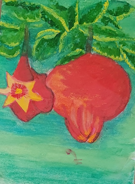 Sweet pomegranates by SimChaya