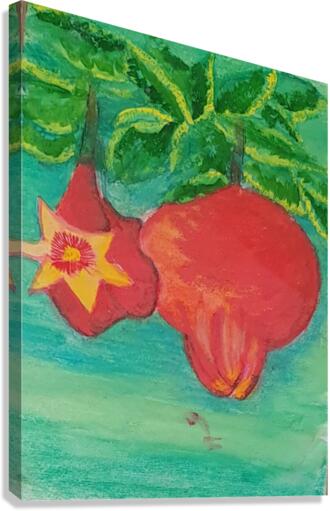 Sweet pomegranates Canvas Print