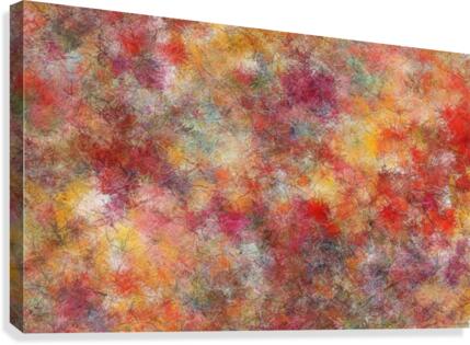 Passione Canvas Print