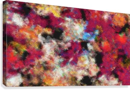 Reef and Rust Canvas Print