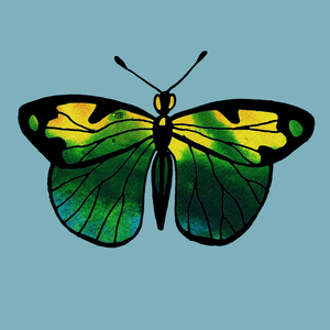 1 Butterflies 12