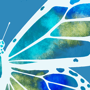 1 Butterflies 21