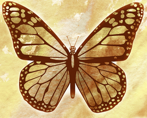 1 Butterflies 31