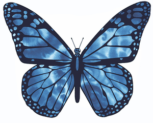 1 Butterflies 35