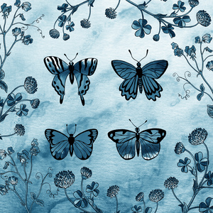 1 Butterflies 37