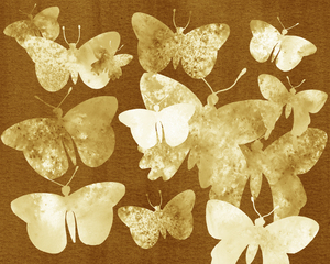 1 Butterflies 58