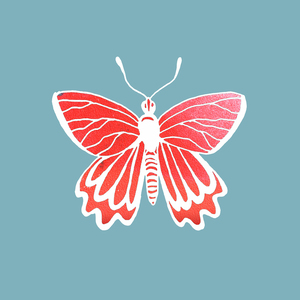 1 Butterflies 9