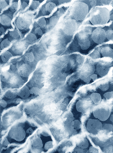 AbstractLizardReptileSkin1 2008 1