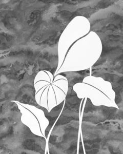 Art Botanical Foliage Tropical Paradise Leave 1666056344.7571