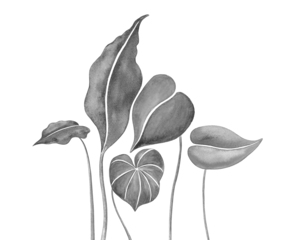 Art Botanical Foliage Tropical Paradise Leves