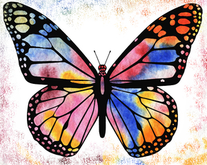 Butterfly 6 Rainbow