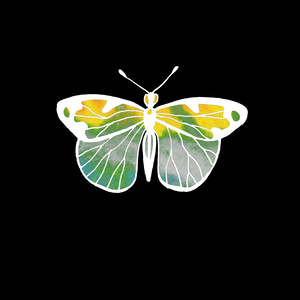 Butterfly On Black 3