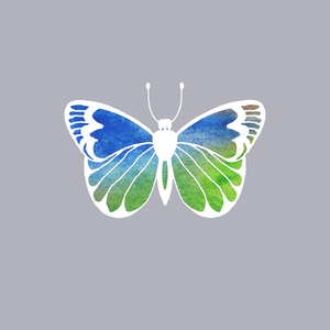 Butterfly On Gray 8
