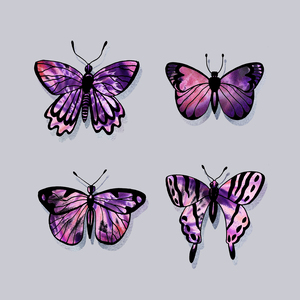 Butterfly On Gray 9