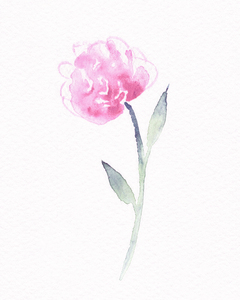 Flower Minimalism Watercolor 25