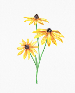 Flowers Minimalism Watercolor 10