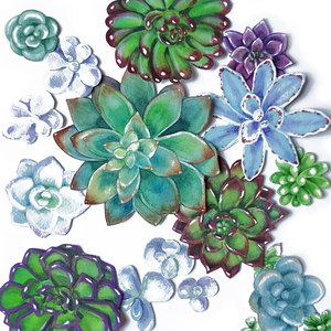 Fresh Green Blue Purple Succulent Plants Gard 1666065785.3855