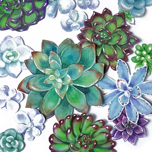 Fresh Green Blue Purple Succulent Plants Gard 1666065802.2577