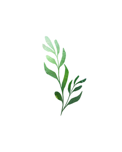 Glowing Green On White Watercolor Leaves Collecti 1685637344.1499