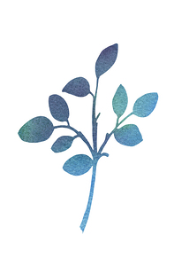 Leave Watercolor 6