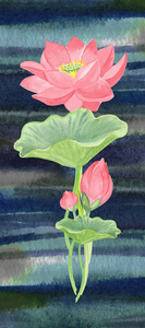 Lotus Flower Pink 5
