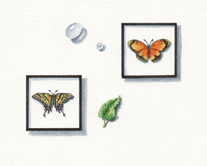 Miniature Butterflies 1