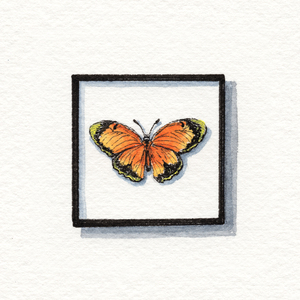 Miniature Butterfly 2