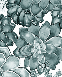 Pale Teal Blue Gray Monochrome Watercolor Suc 1666065777.1409