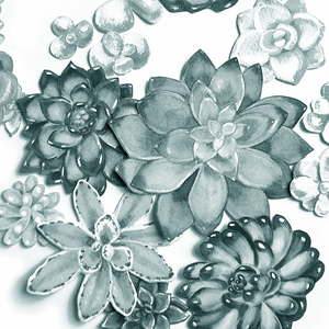 Pale Teal Blue Gray Monochrome Watercolor Suc 1666065781.2723