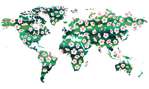 Pink Flowers On Green Watercolor World Map Pa