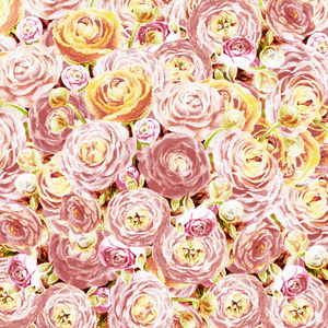 Ranunculus Flowers 1