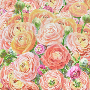 Ranunculus Flowers 4